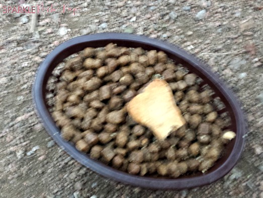Doggie-Dinner-Gratifit-Kitchen