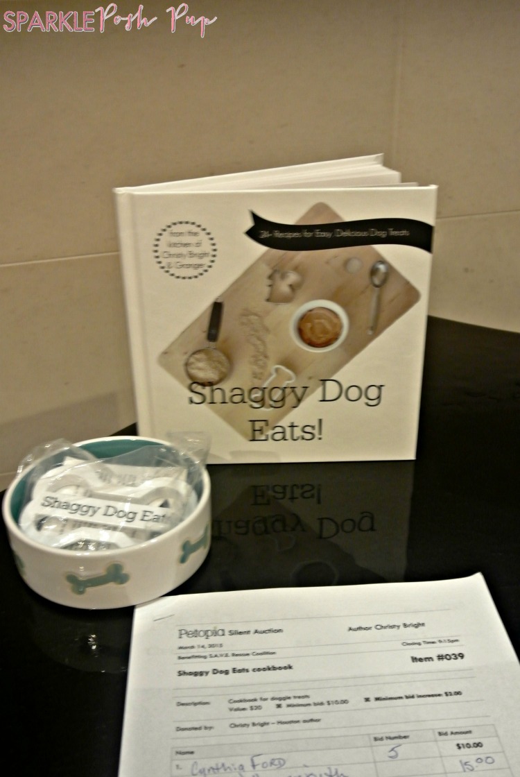 Shaggy-Dog-Eats