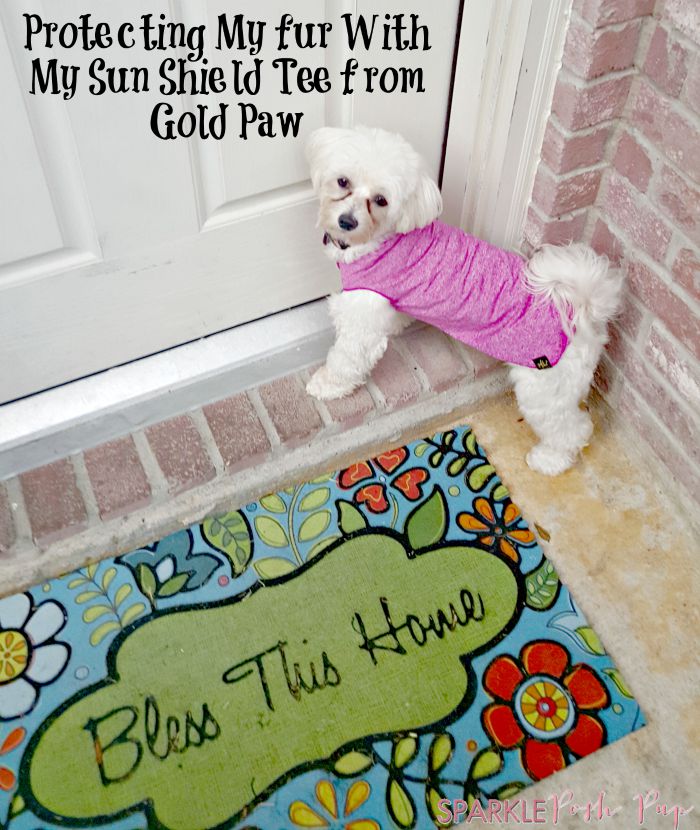 Sun-Shield-Tee-Product-Review